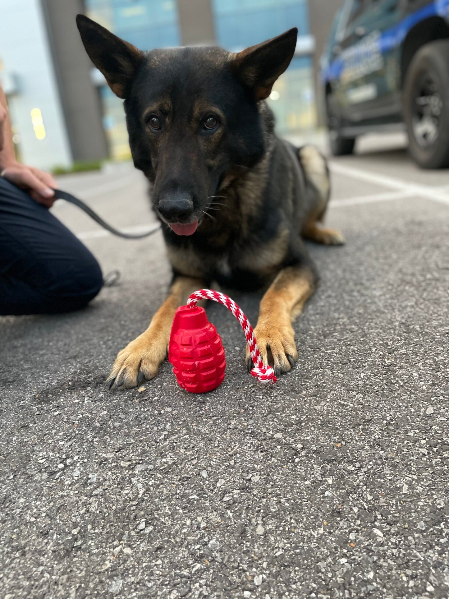 K9 Valor Gift Box