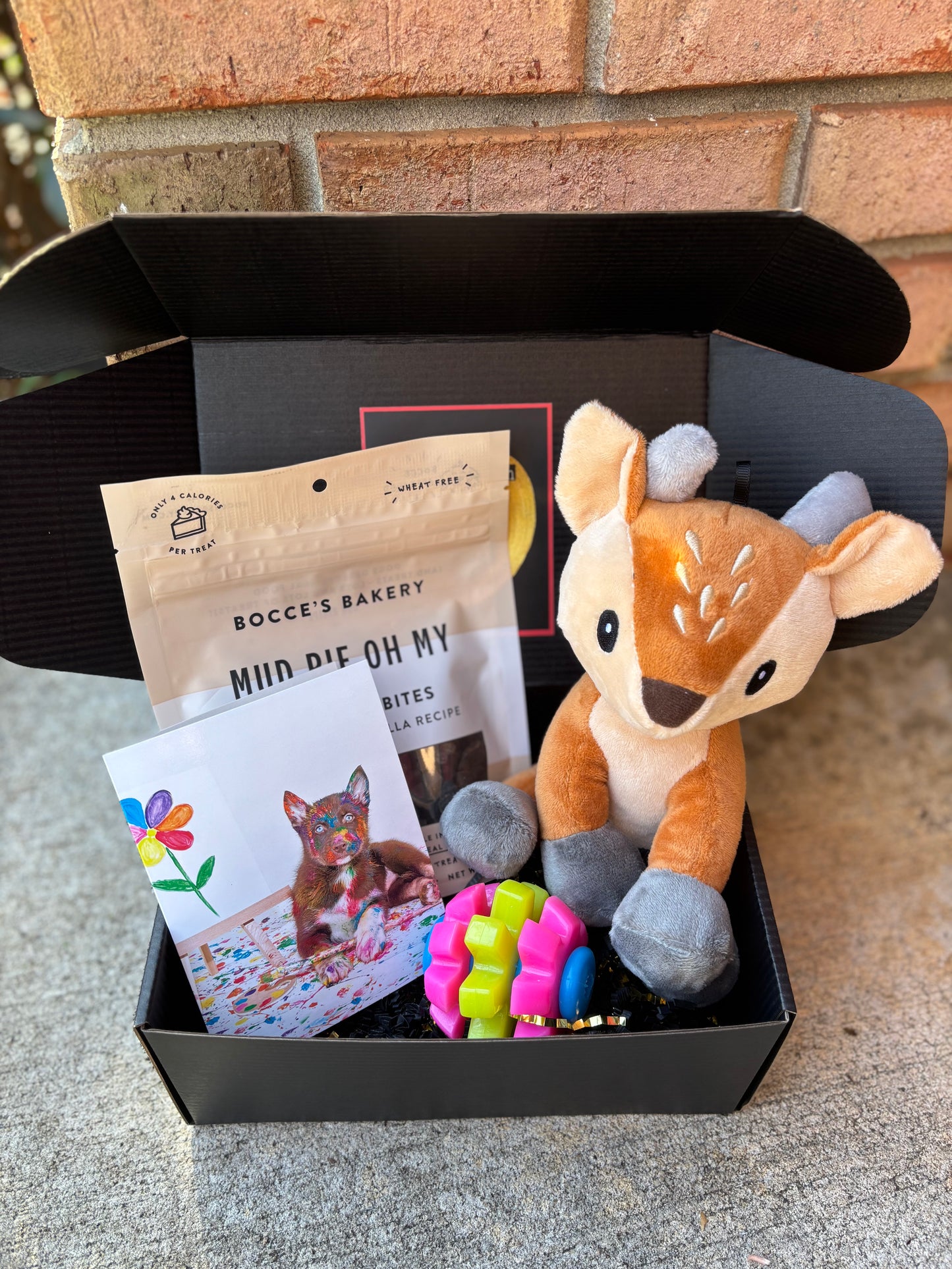 Mini Welcome Home Puppy Box