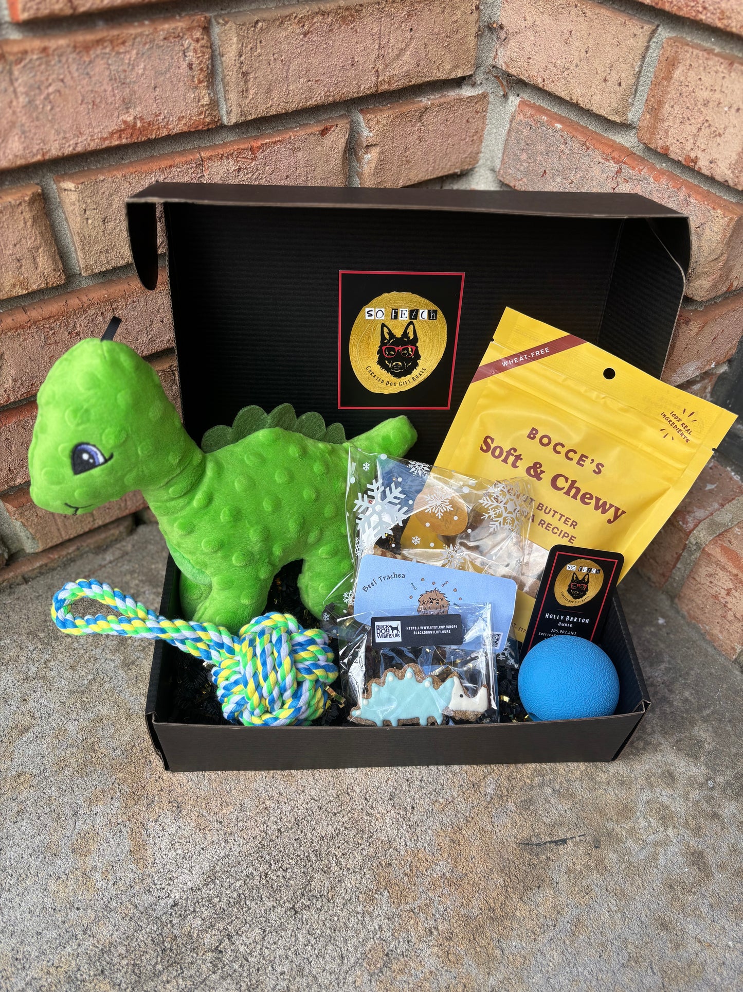 Land before Time Gift Box