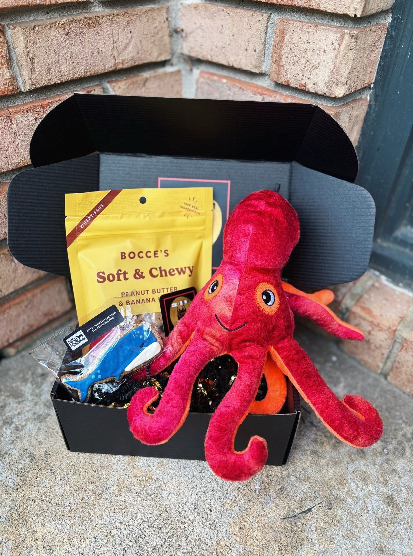 Mini Under the Sea Gift Box