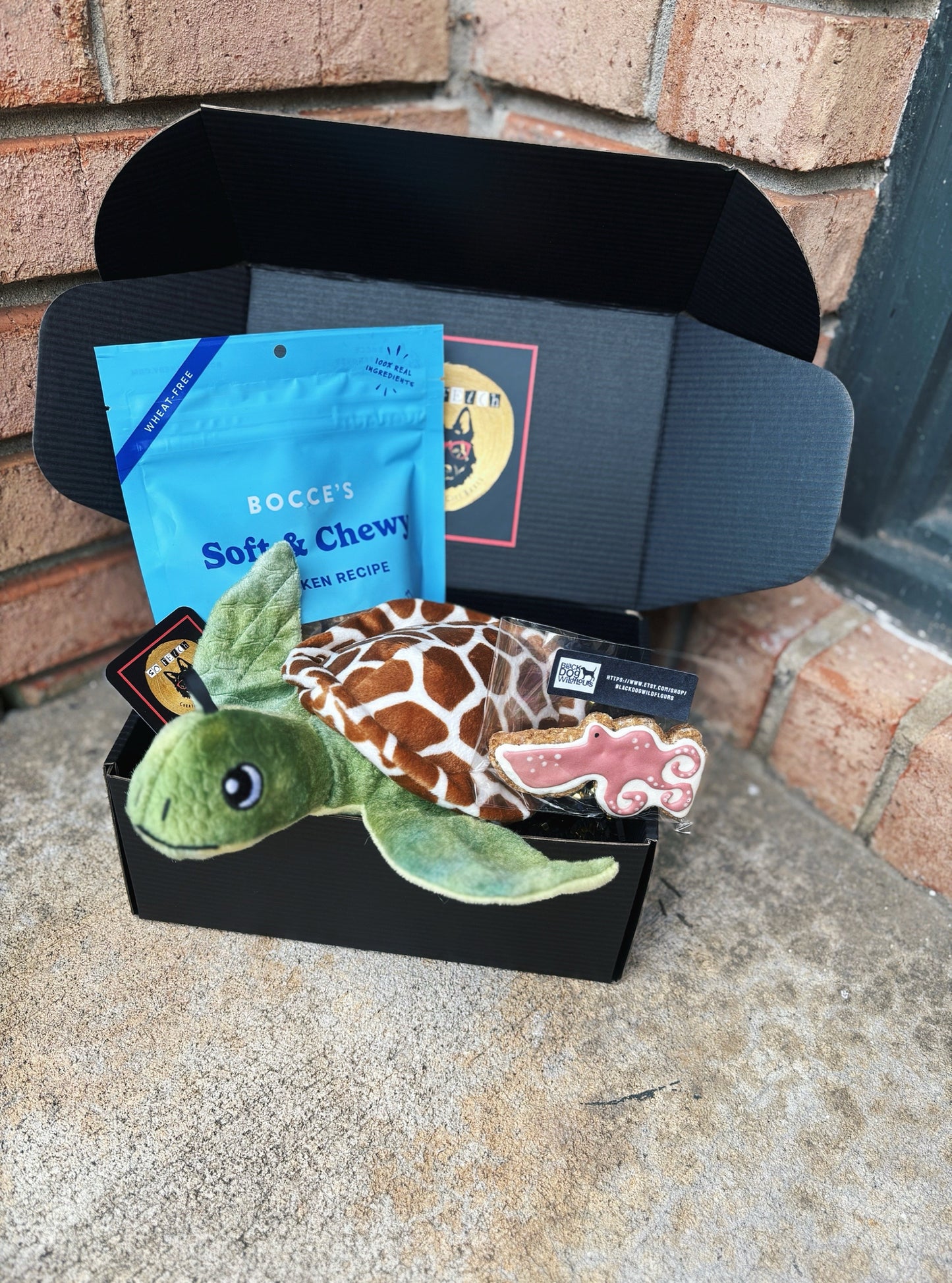 Mini Under the Sea Gift Box