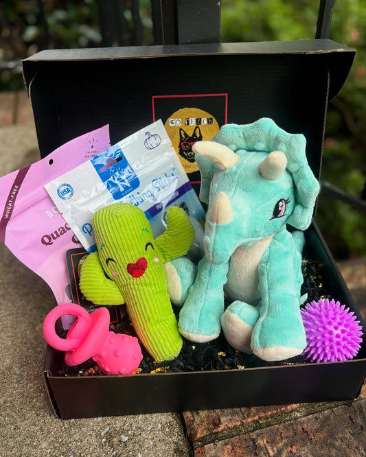 Welcome Home Puppy Box