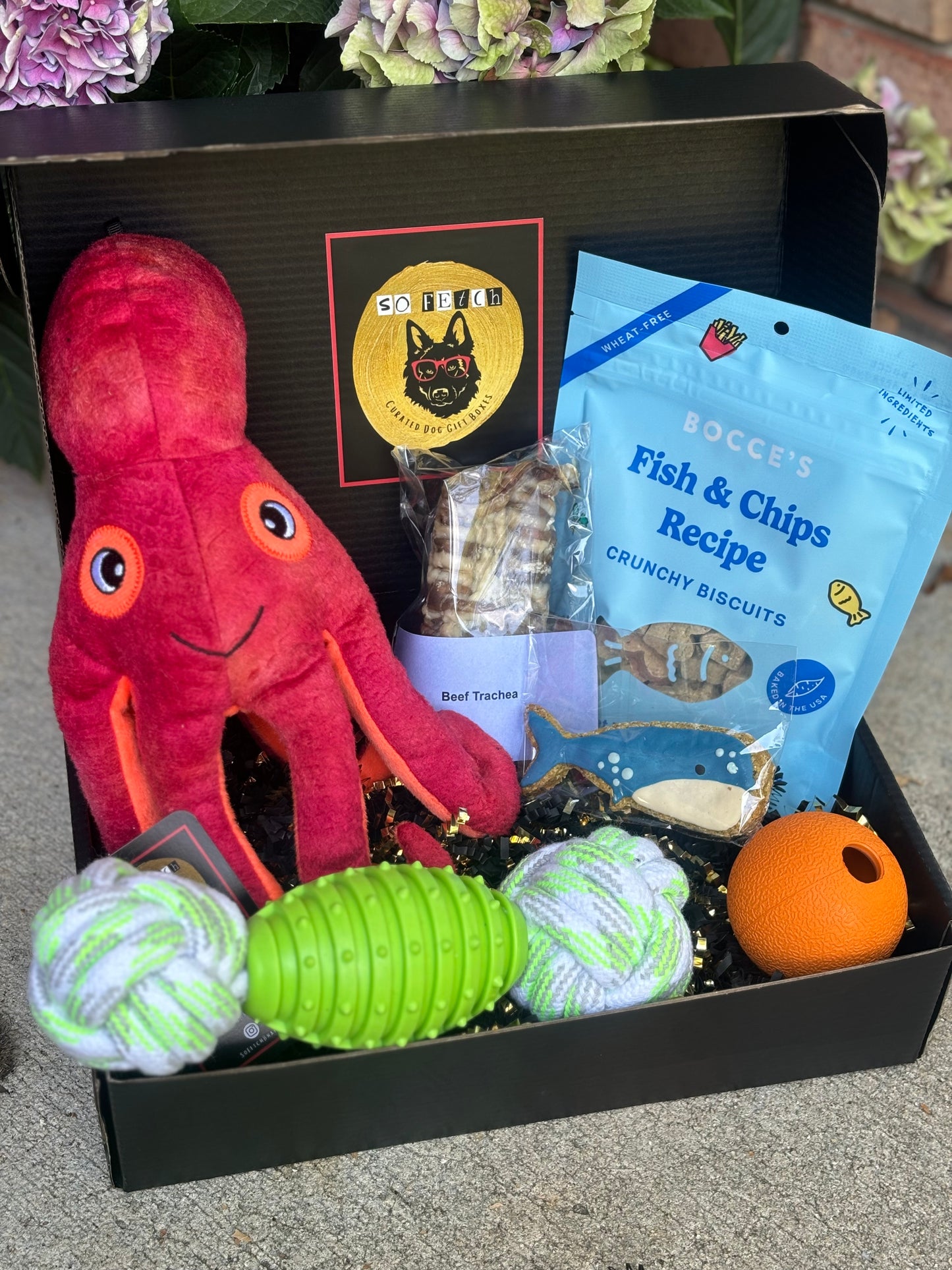 Under the Sea Gift Box