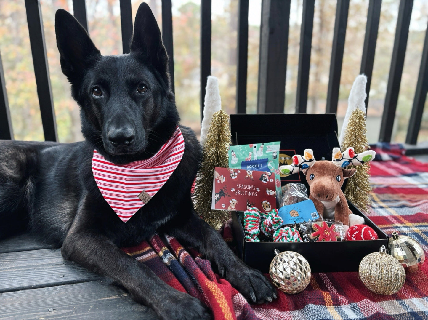 Standard Christmas Gift Box