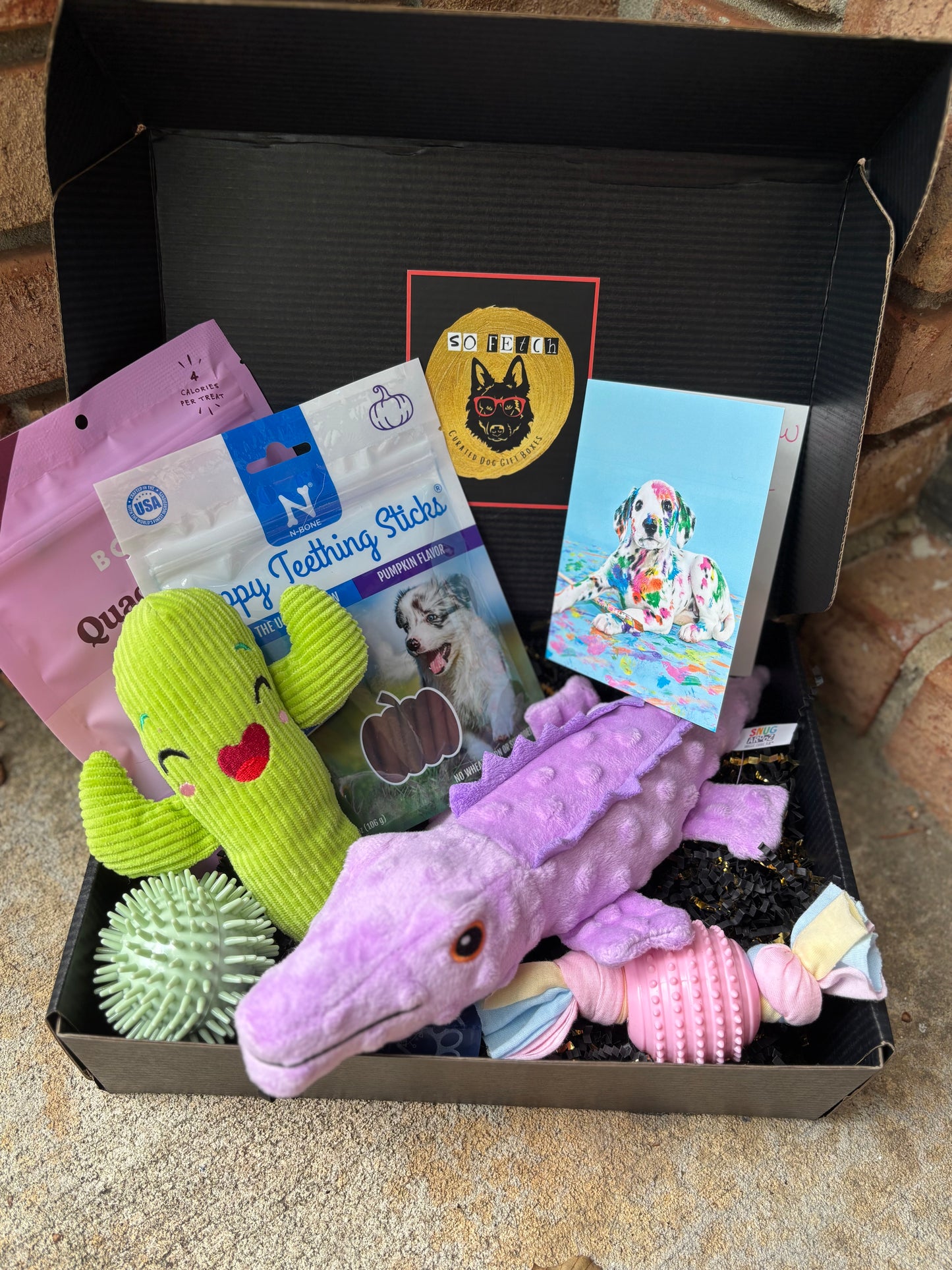 Welcome Home Puppy Box