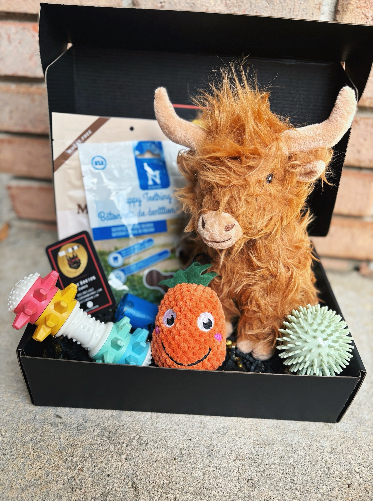 Welcome Home Puppy Box