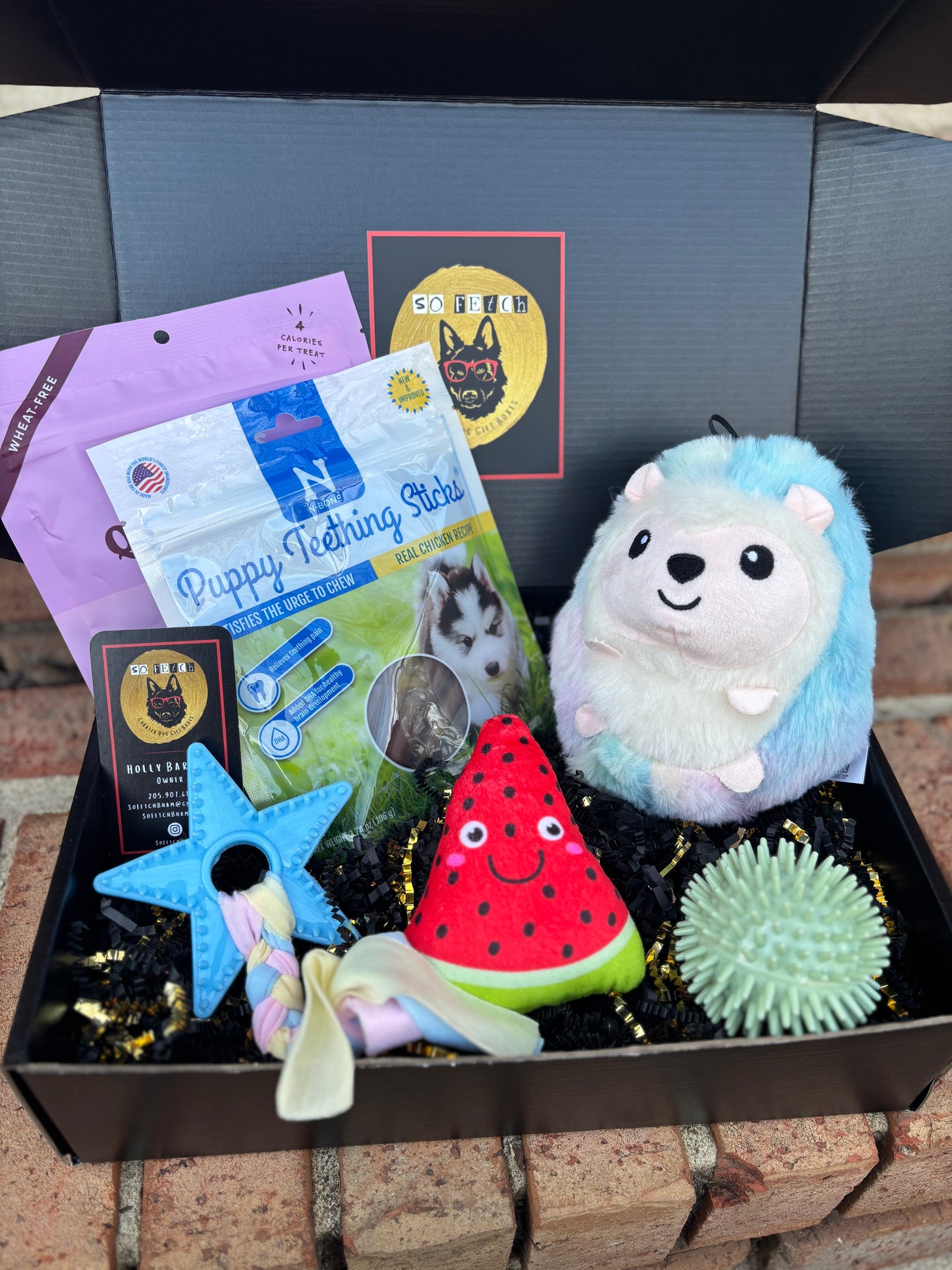 Welcome Home Puppy Box