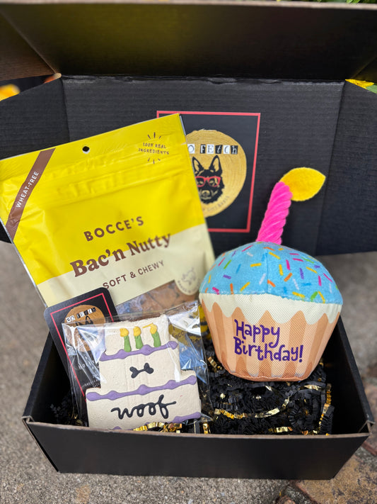 Mini Birthday Box