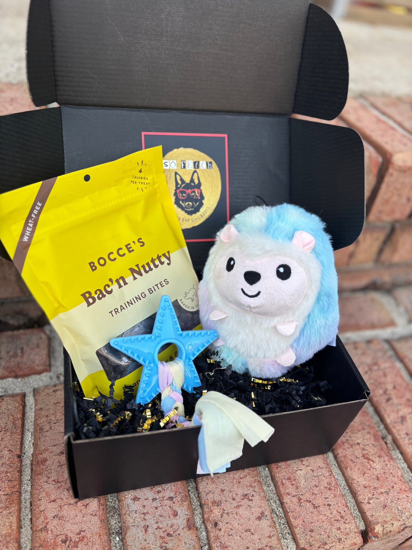 Mini Welcome Home Puppy Box