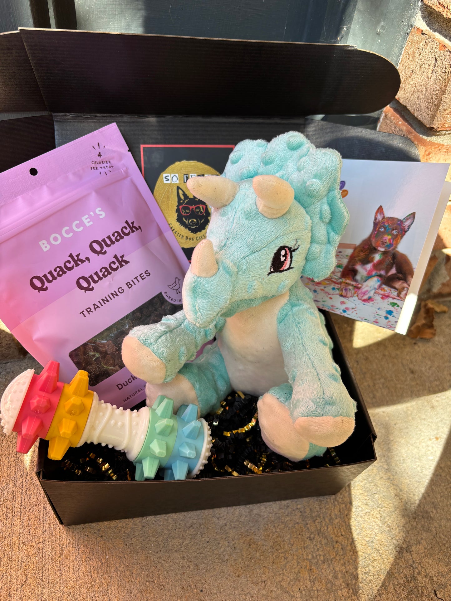 Mini Welcome Home Puppy Box