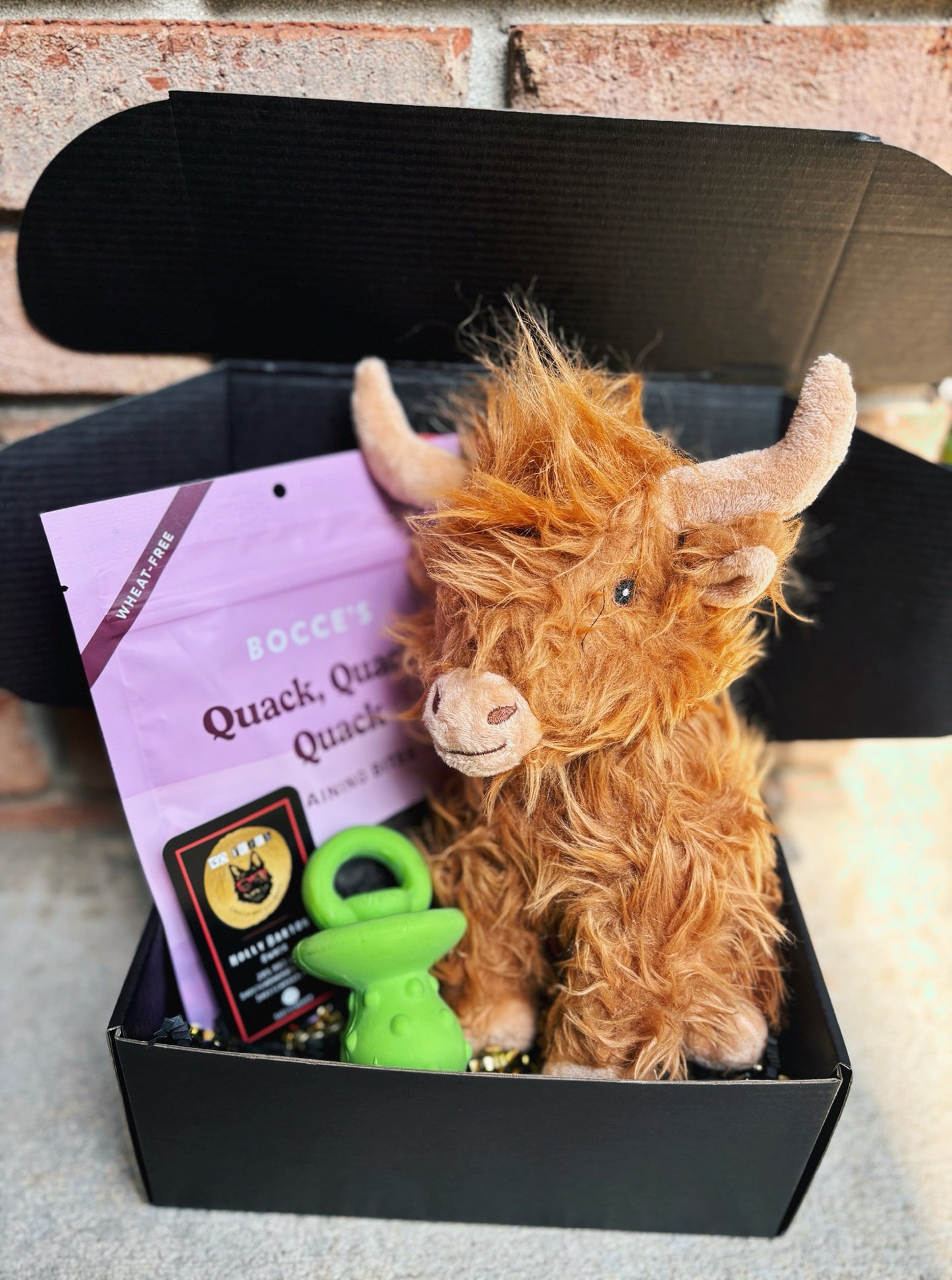 Mini Welcome Home Puppy Box