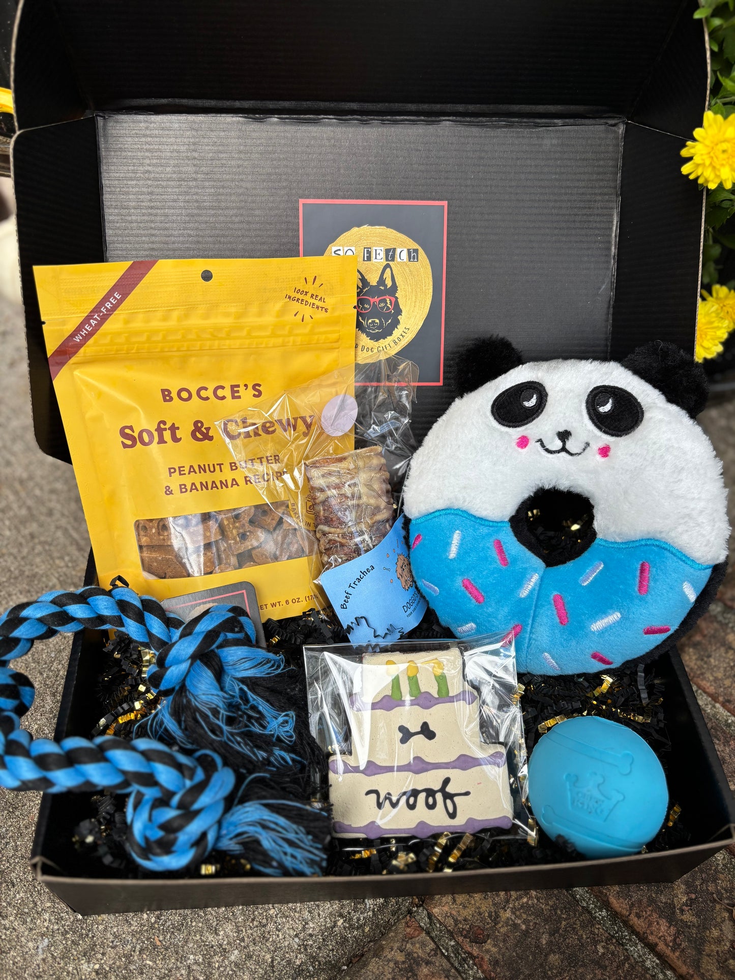 Birthday Box – So Fetch Bham - Main Image