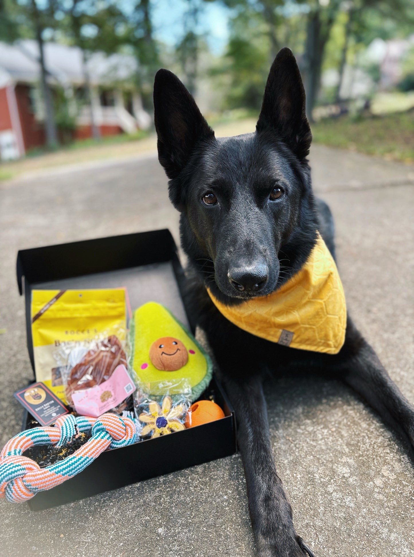 Fiesta Gift Box