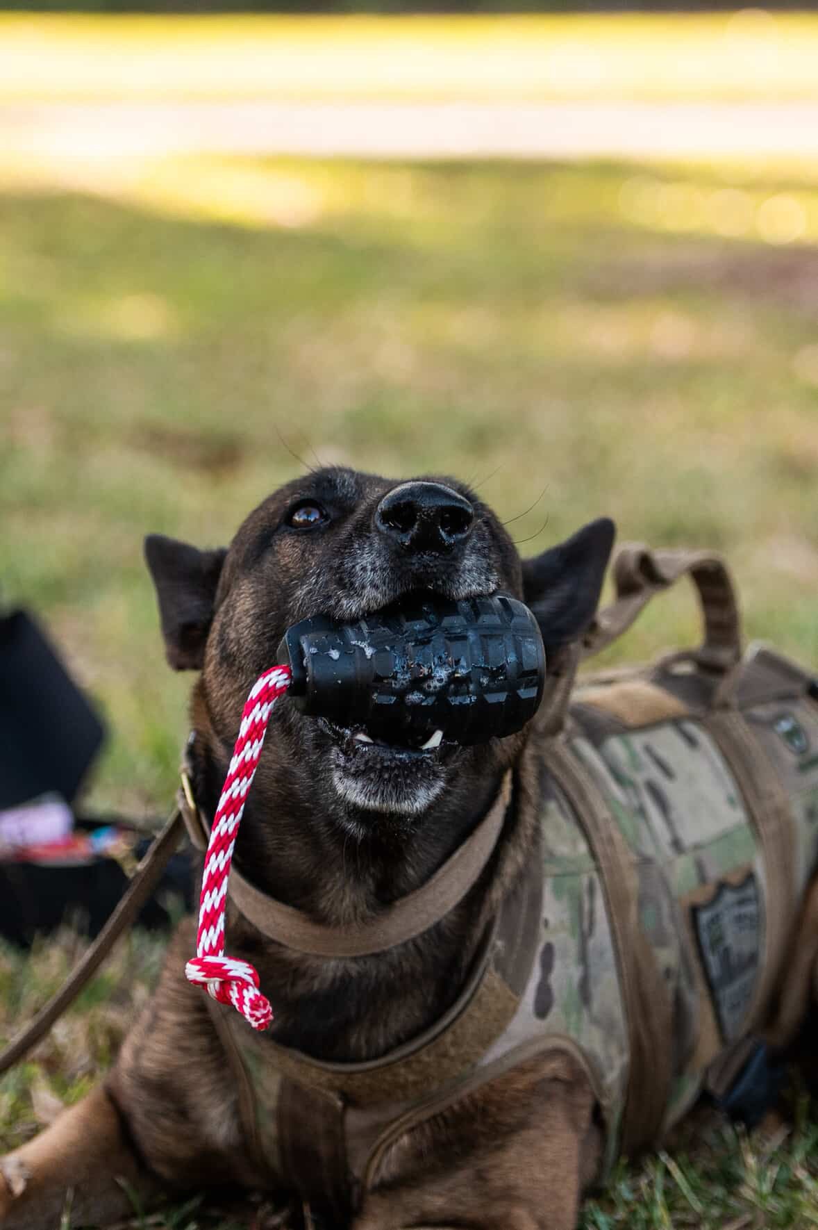 USA-K9 Grenade Reward Toy