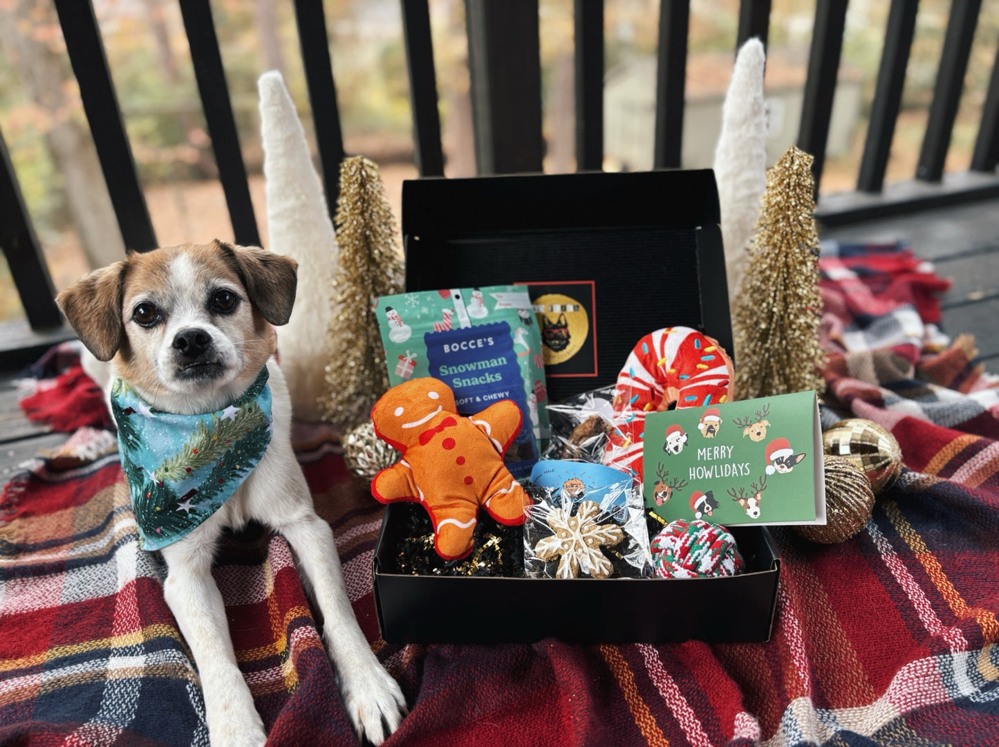 Standard Christmas Gift Box