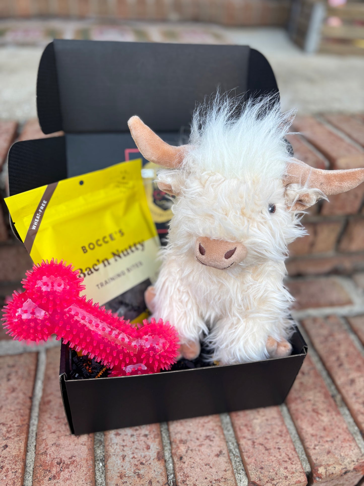 Mini Welcome Home Puppy Box