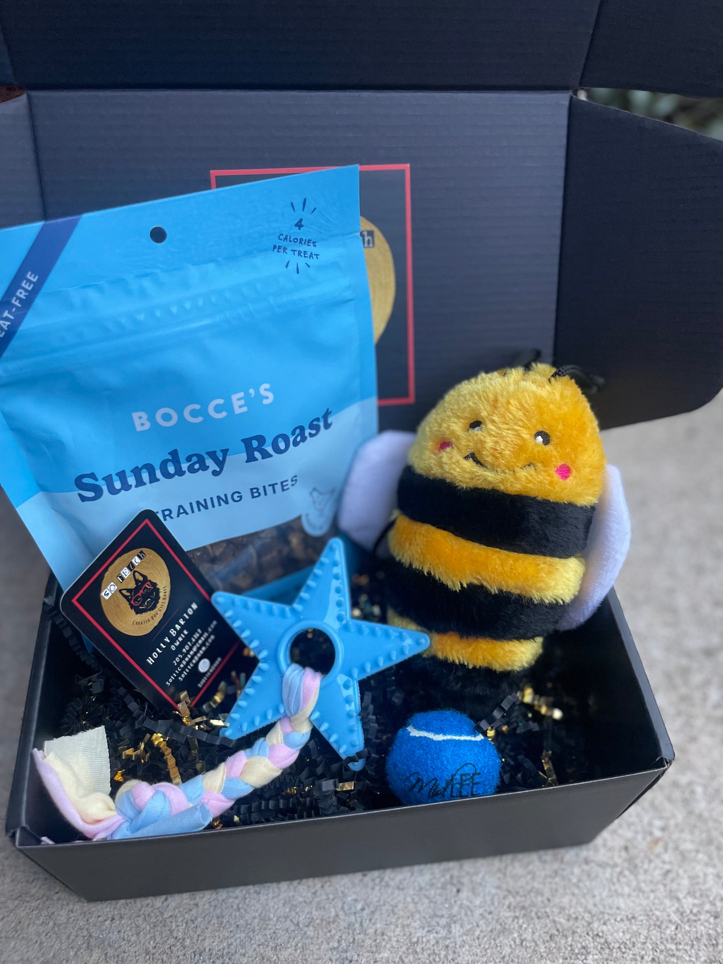 Mini Welcome Home Puppy Box