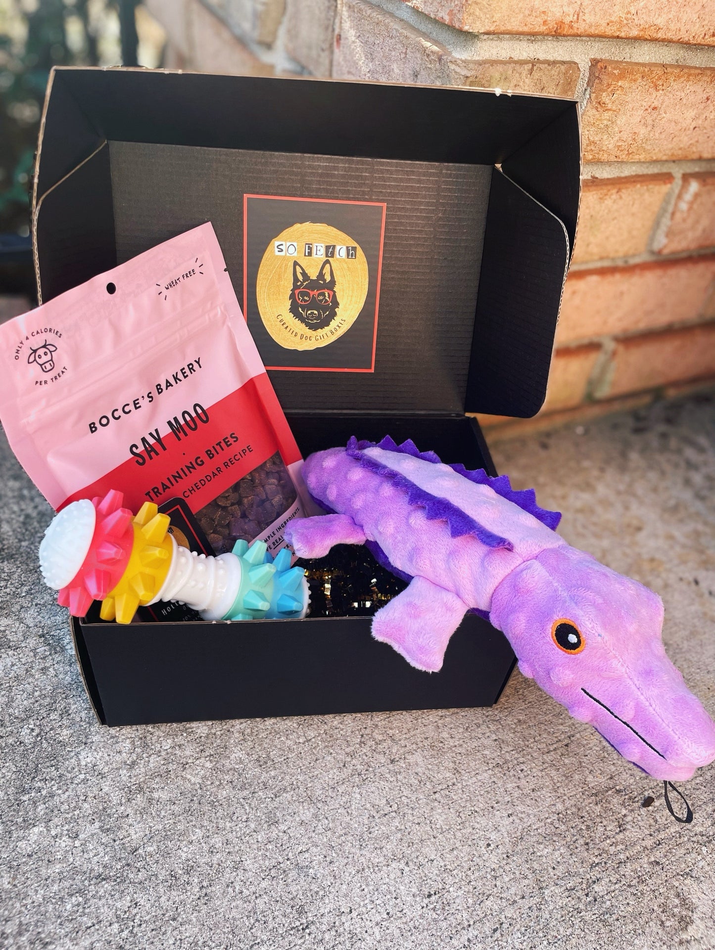 Mini Welcome Home Puppy Box