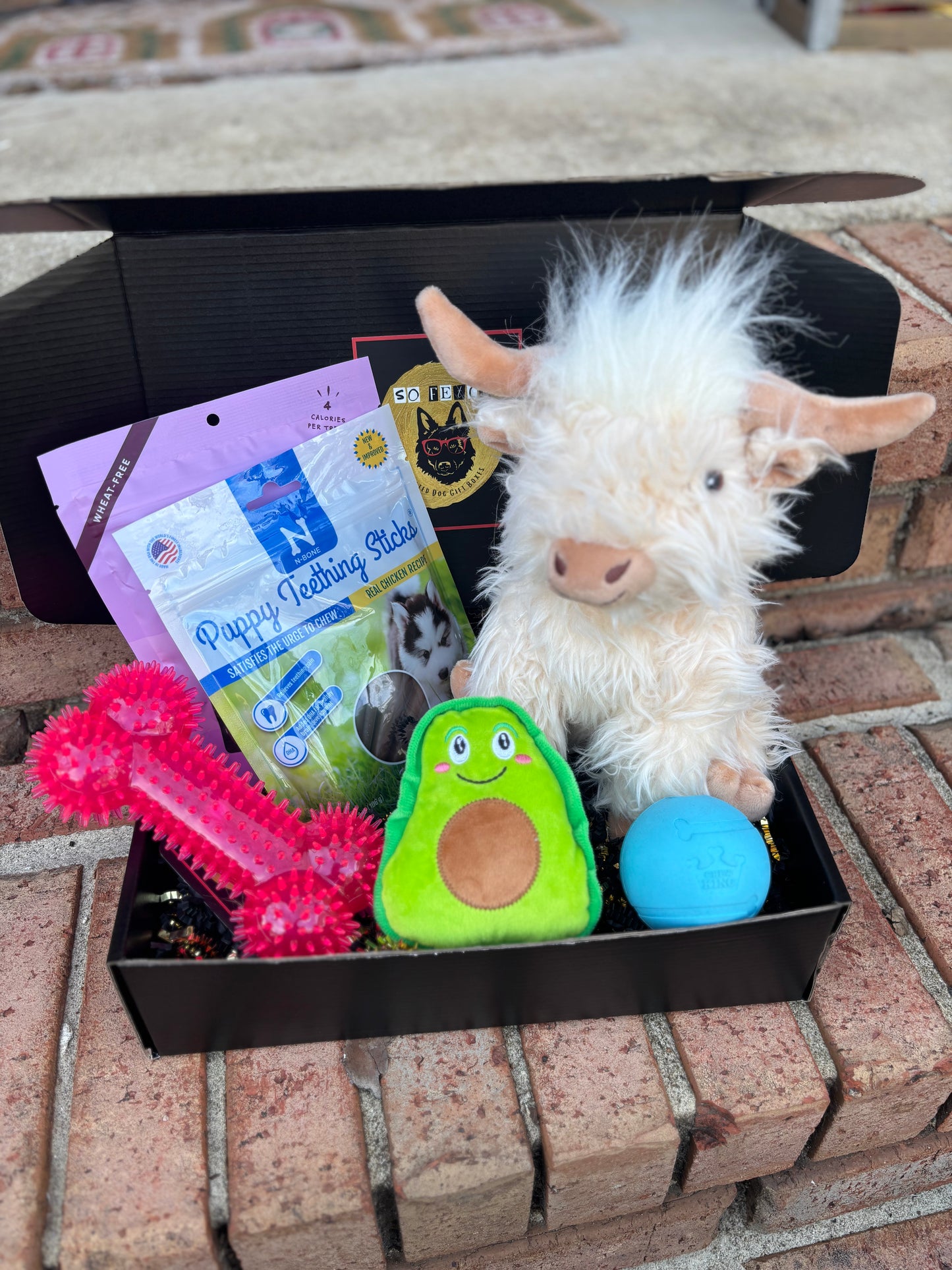 Welcome Home Puppy Box