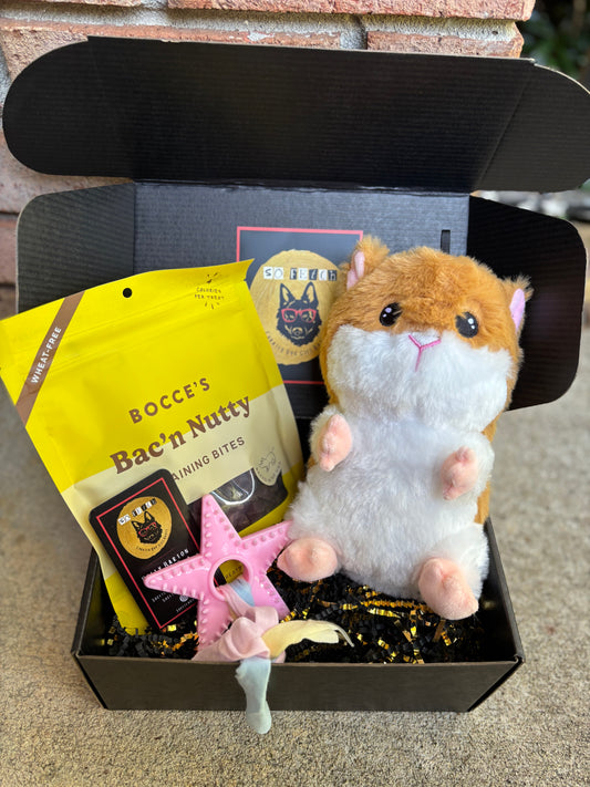 Mini Welcome Home Puppy Box