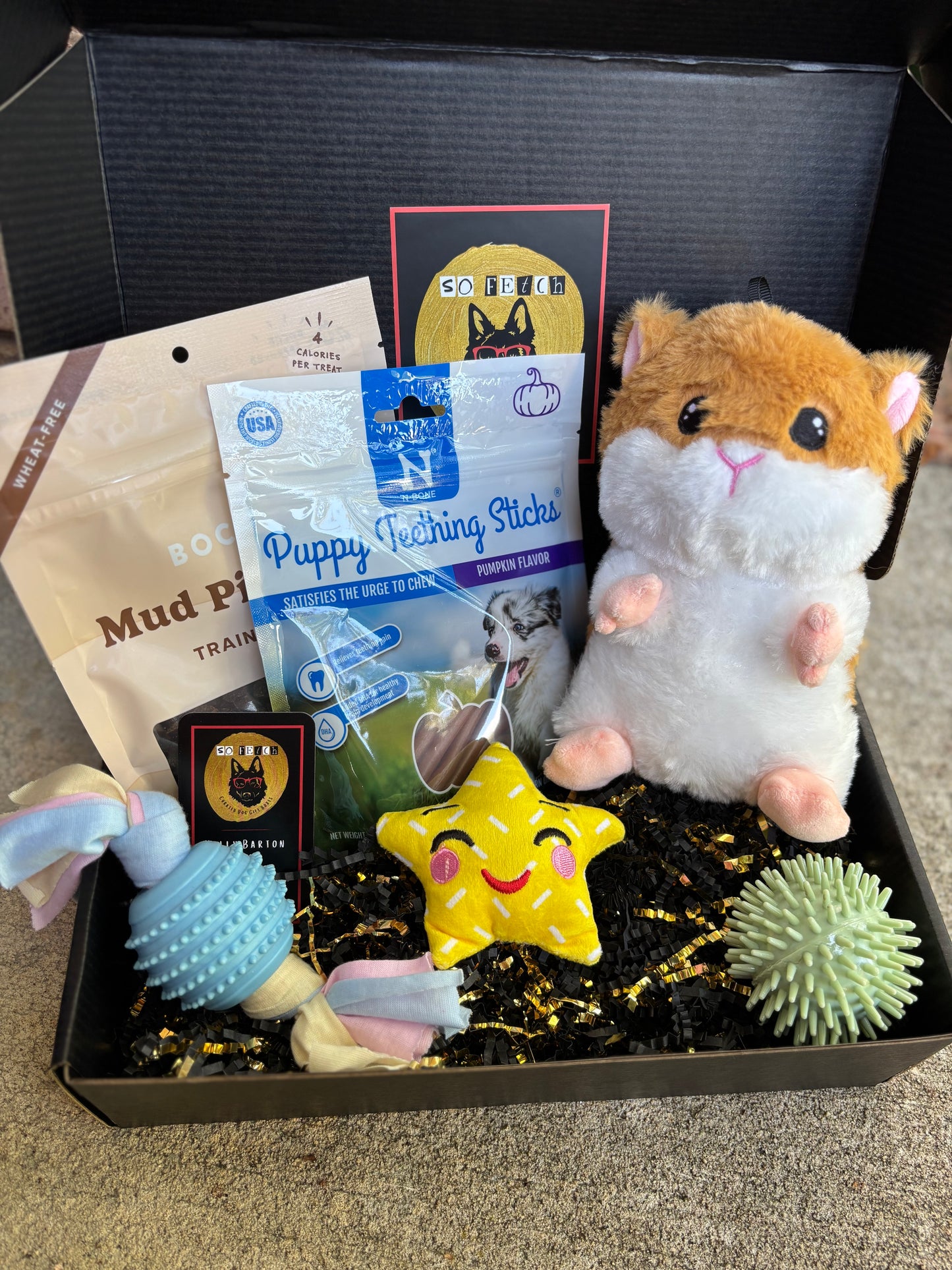 Welcome Home Puppy Box