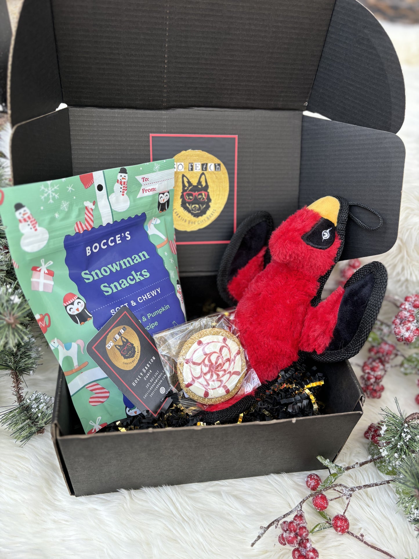 Mini Ruffian Christmas Box