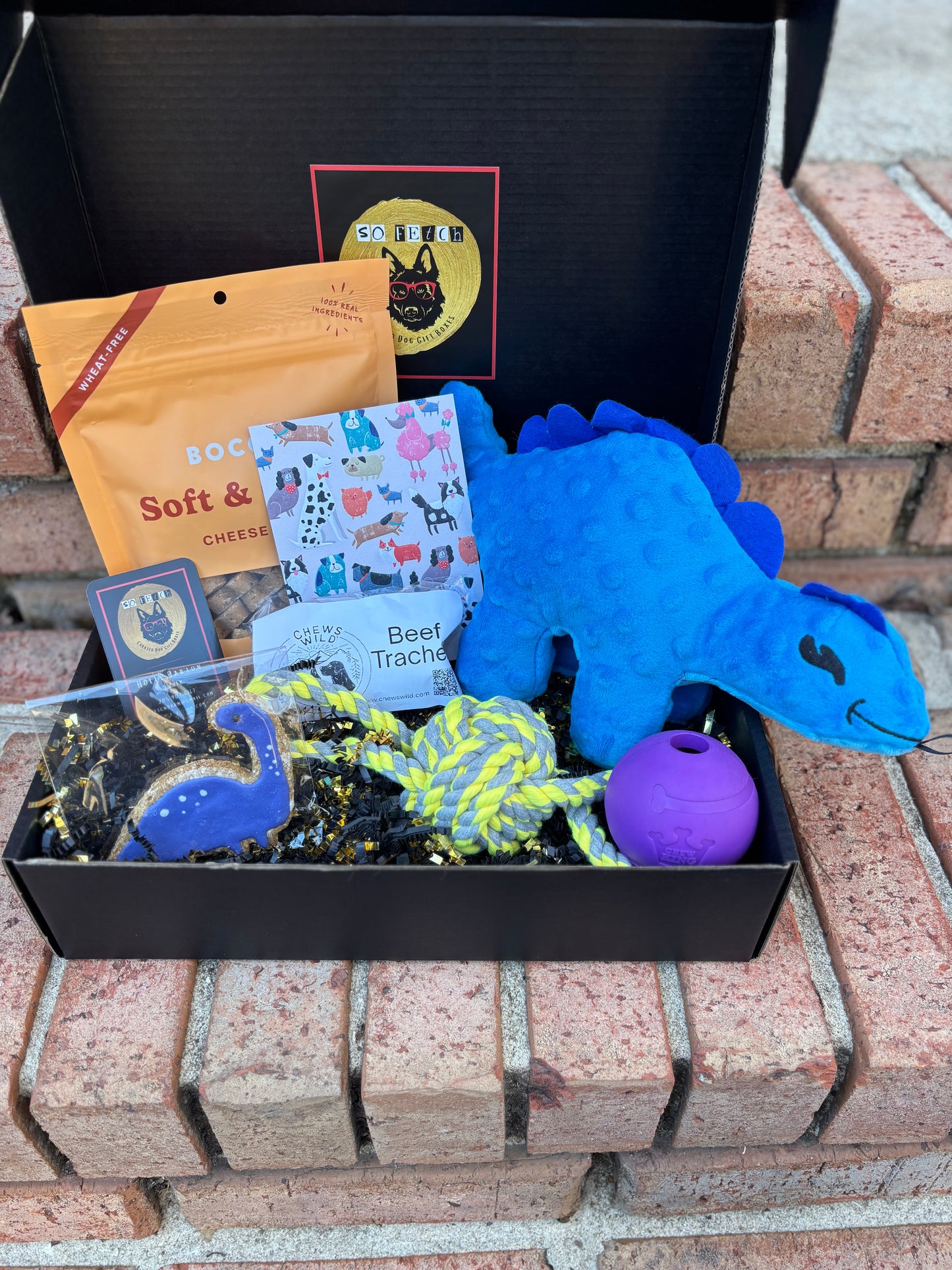 Land before Time Gift Box