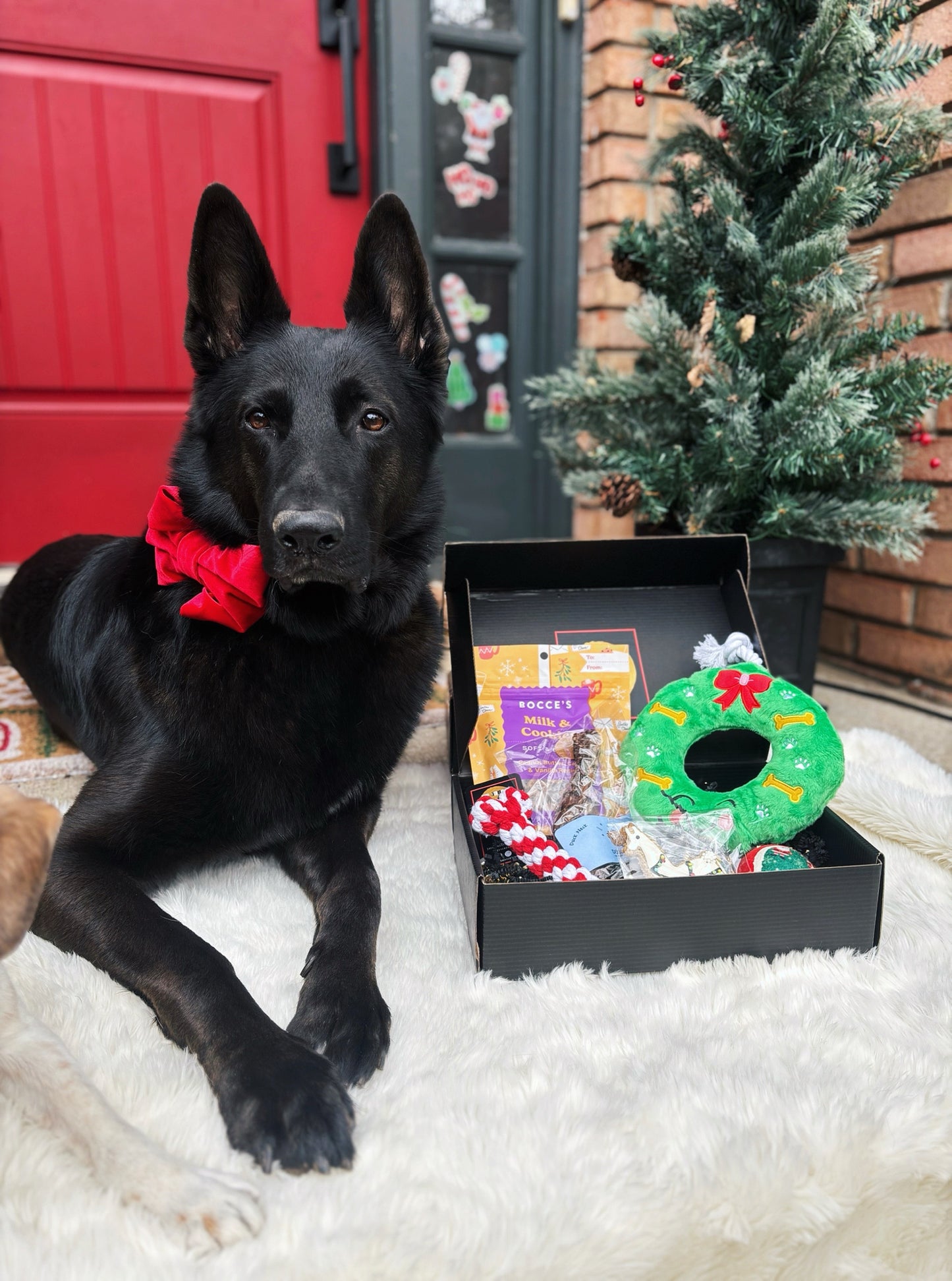 Standard Christmas Gift Box