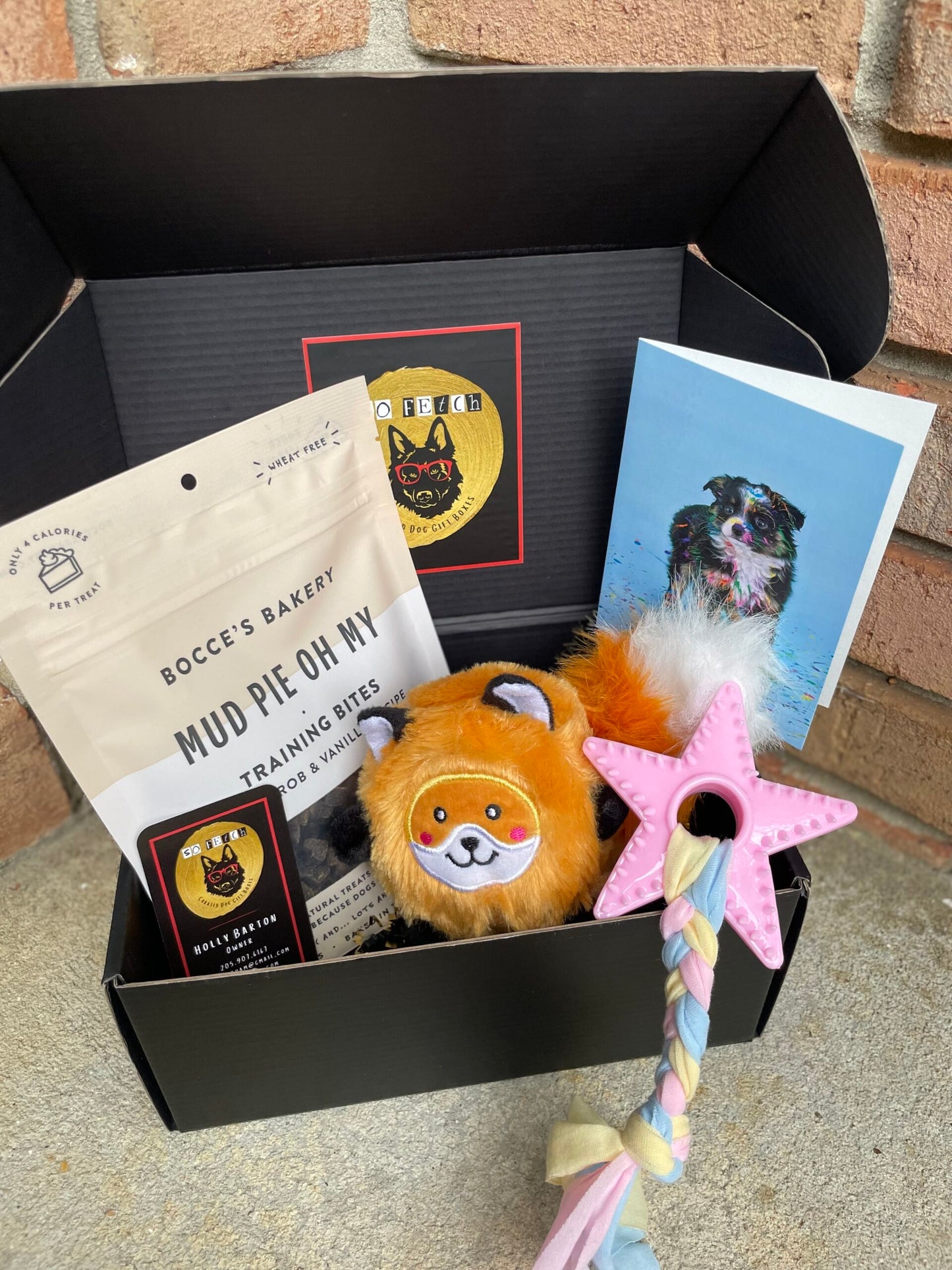 Mini Welcome Home Puppy Box