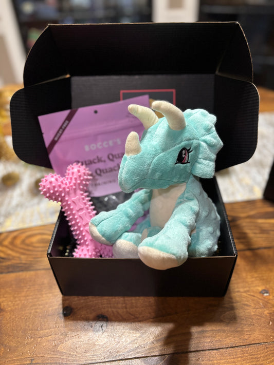 Mini Welcome Home Puppy Box