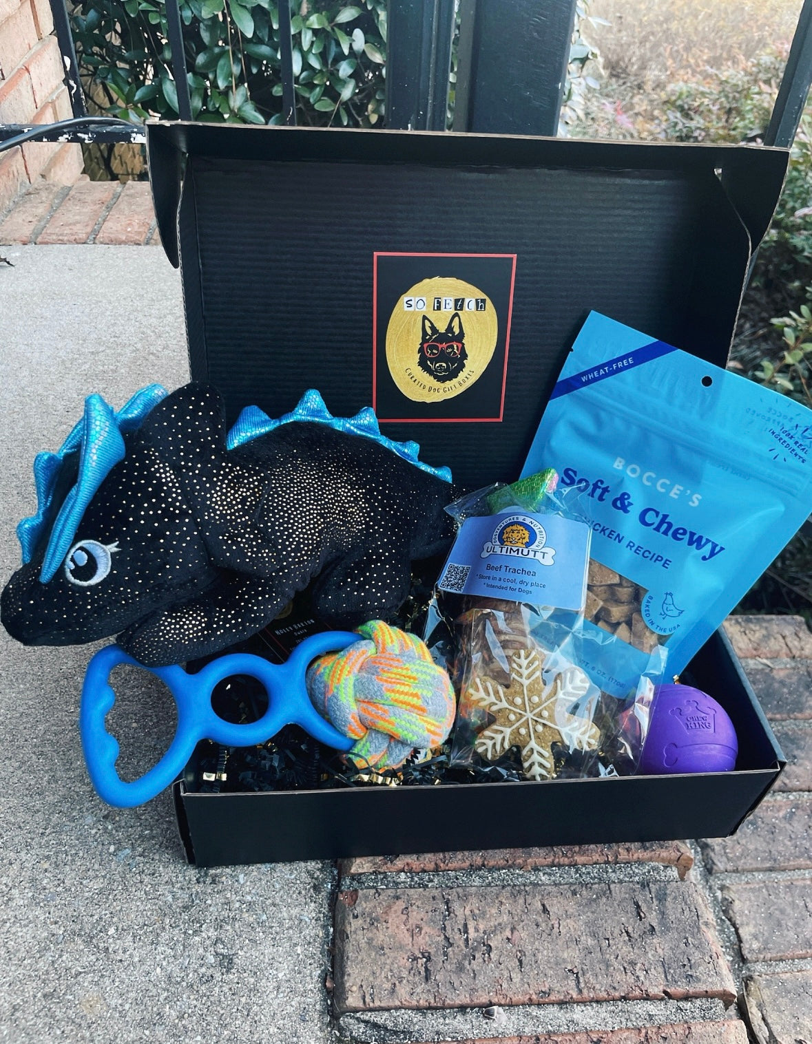 Ice the Dragon Gift Box