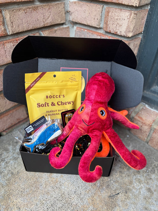 Mini Under the Sea Gift Box