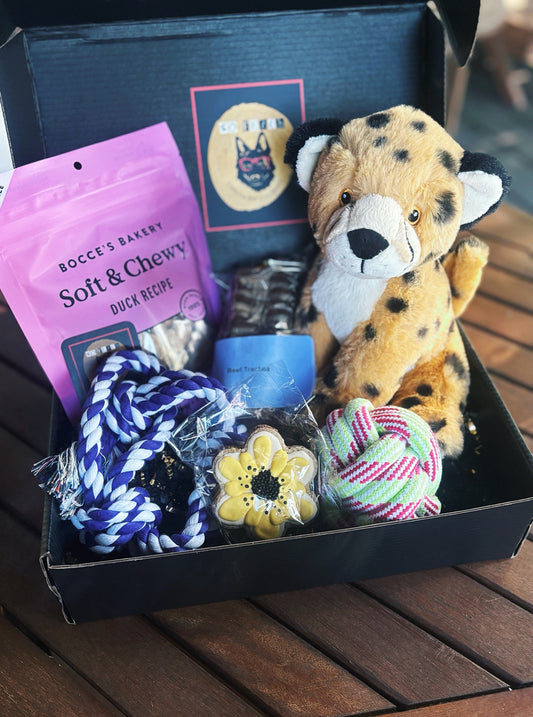 Wild One Gift Box
