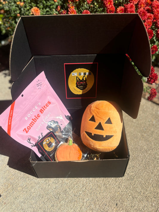 Mini Halloween Gift Box