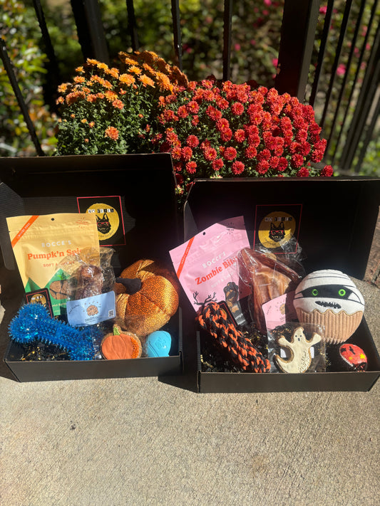 Standard Halloween Gift Box